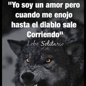 Meet your Posher, Roberto